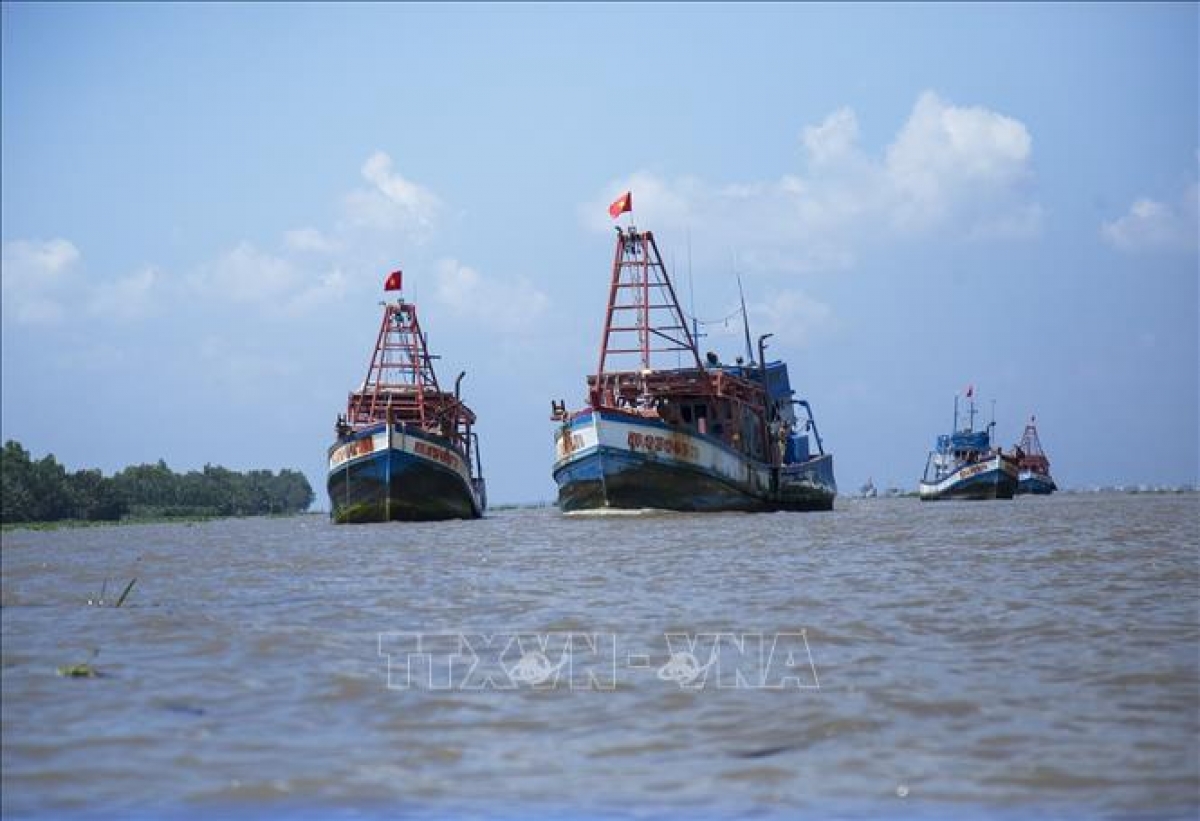 Tài liệu tuyên truyền "Thẻ vàng" Châu Âu đối với hải sản Việt Nam và biện pháp khắc phục